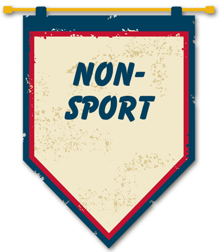 Non-Sport